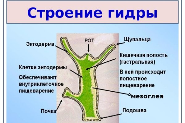 Актуальное зеркало кракен